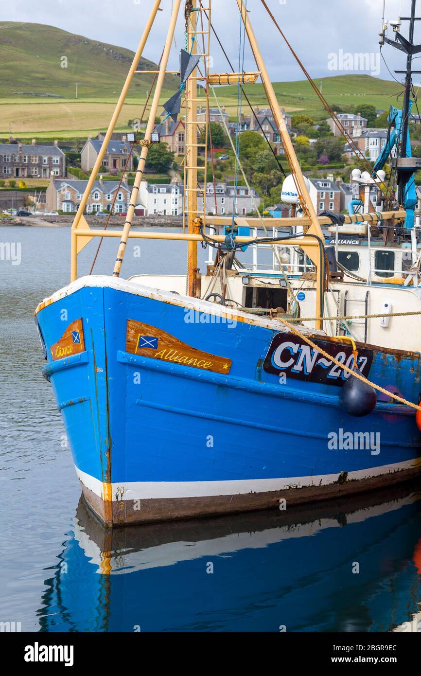 Bright coloured fisherman's trawler moored at Campbeltown Port, Isle of Arran, Scotland Stock Photo