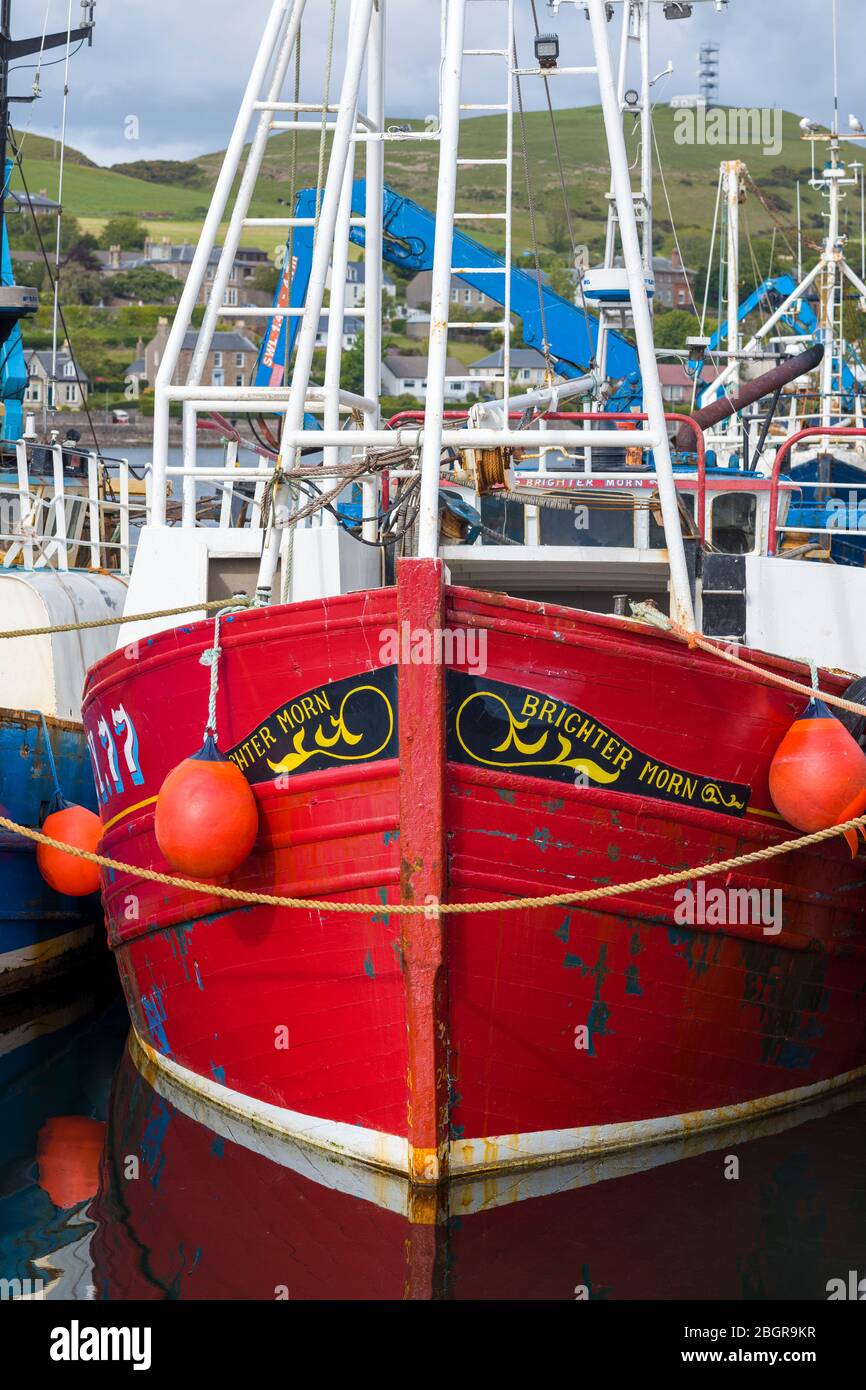 Bright coloured fisherman's trawler moored at Campbeltown Port, Isle of Arran, Scotland Stock Photo