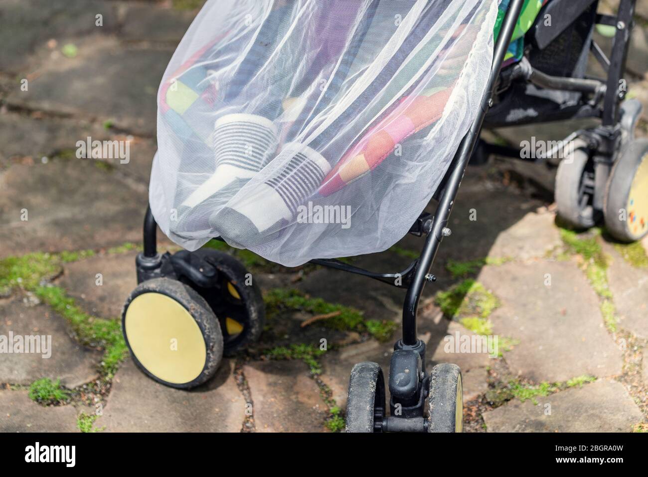 Child in stroller covered with protective net during walk. Baby carriage with anti-mosquito white cover. Midge protection for children during outdoor Stock Photo