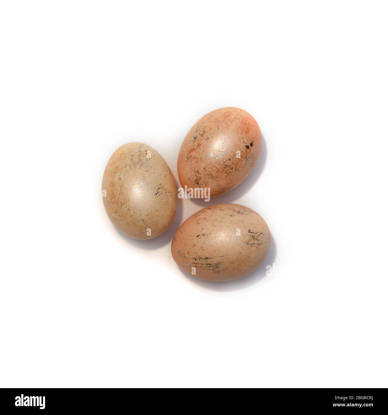 Three chicken orange eggs laying isolated on the white background. Easter colored eggs. Stock Photo