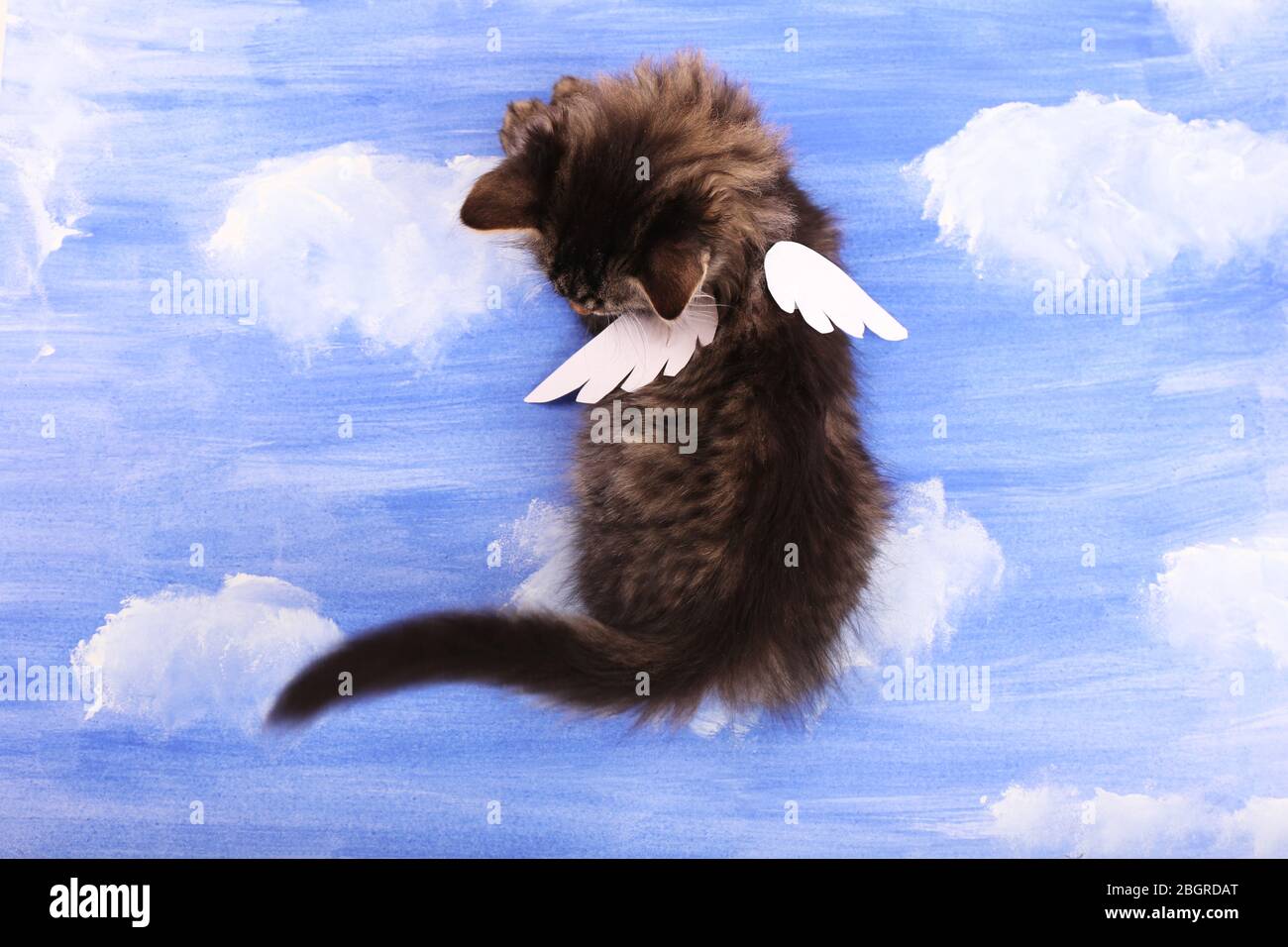 Beautiful kitten with paper wings, on bright background Stock Photo