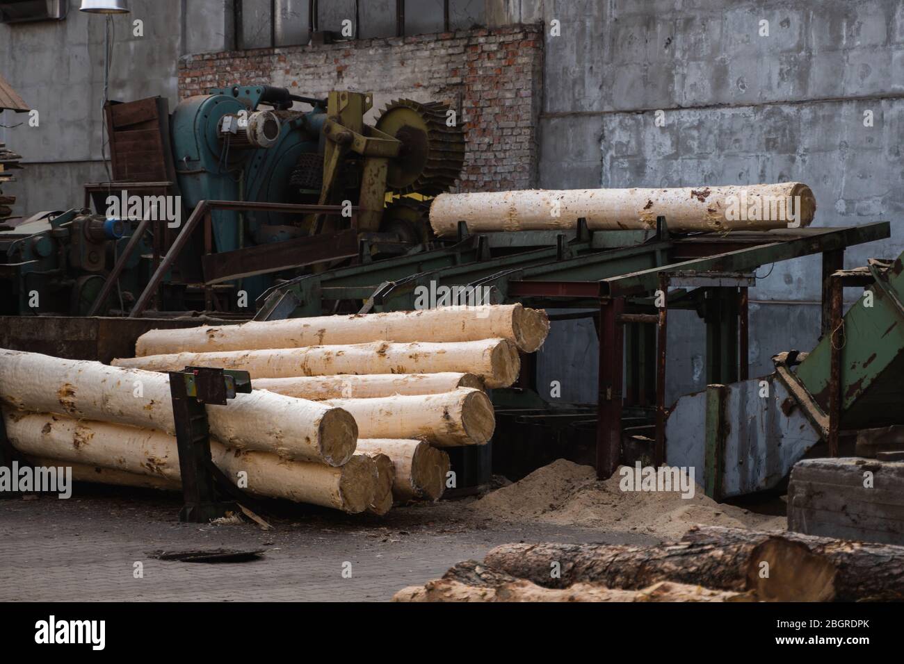 Bark removal from large logs on sawmill. Preparation of the wooden logs