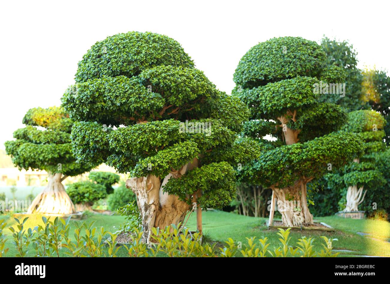 Mix landscaping design trees hi-res stock photography and images - Alamy