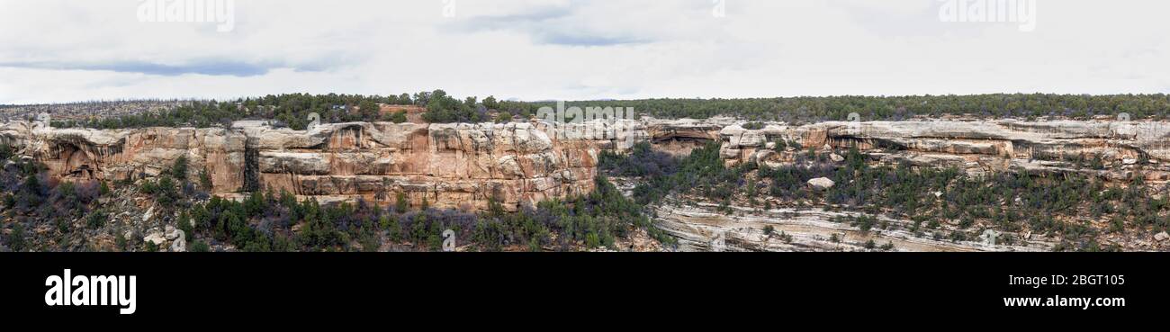 CO00227-00...COLORADO - Panoramic view of the Ancestral Pueblo People Cliff dwellings in Cliff Canyon, Mesa Verde National Park. Stock Photo