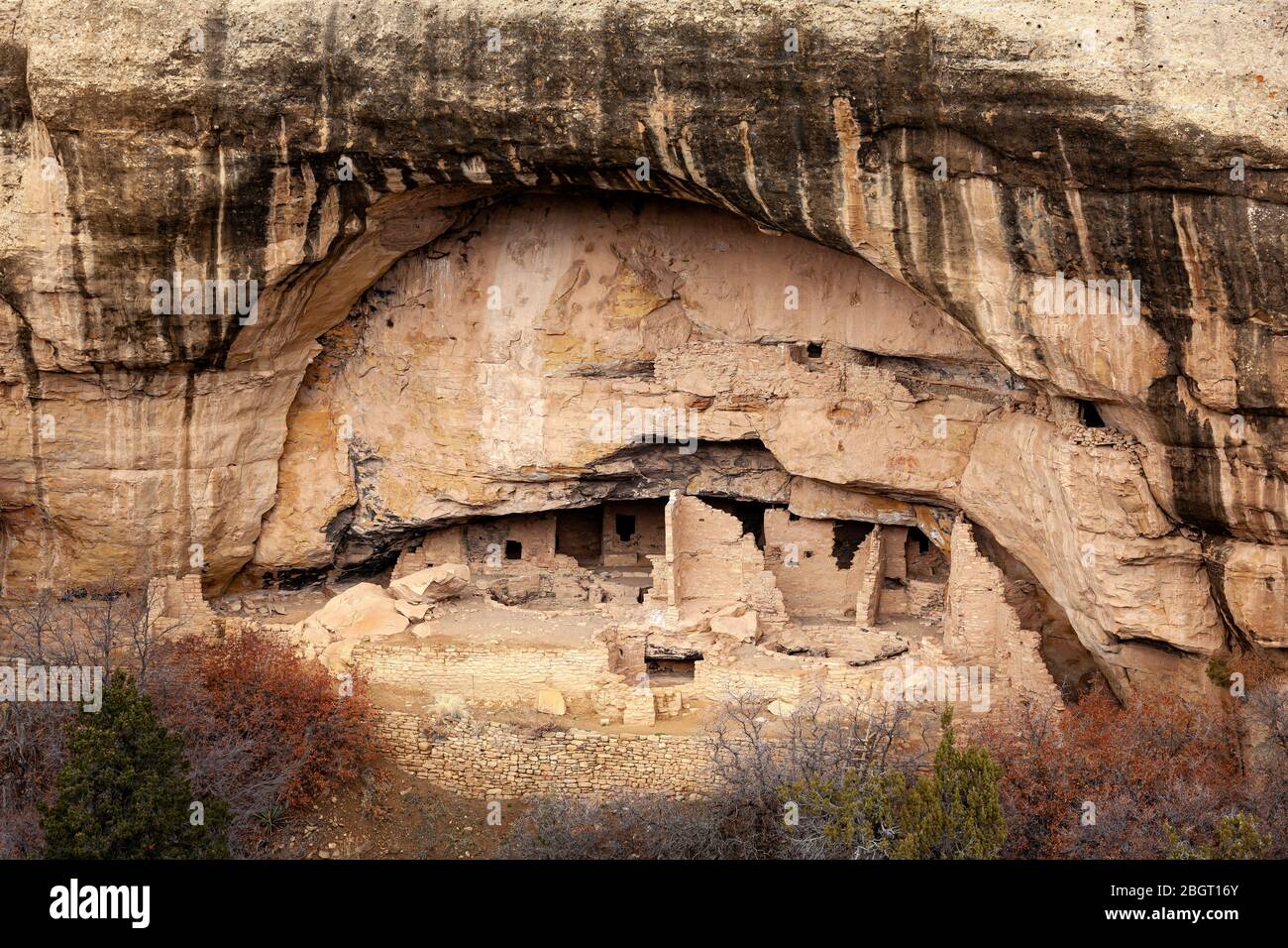CO00228-00...COLORADO - Cliff dwellings of the Ancestral Pueblo People called Oak tree House in Fewkes Canyon, Mesa Verde National Park. Stock Photo