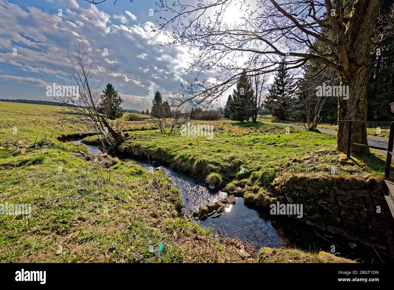 Oberharzer teiche hires stock photography and images Alamy