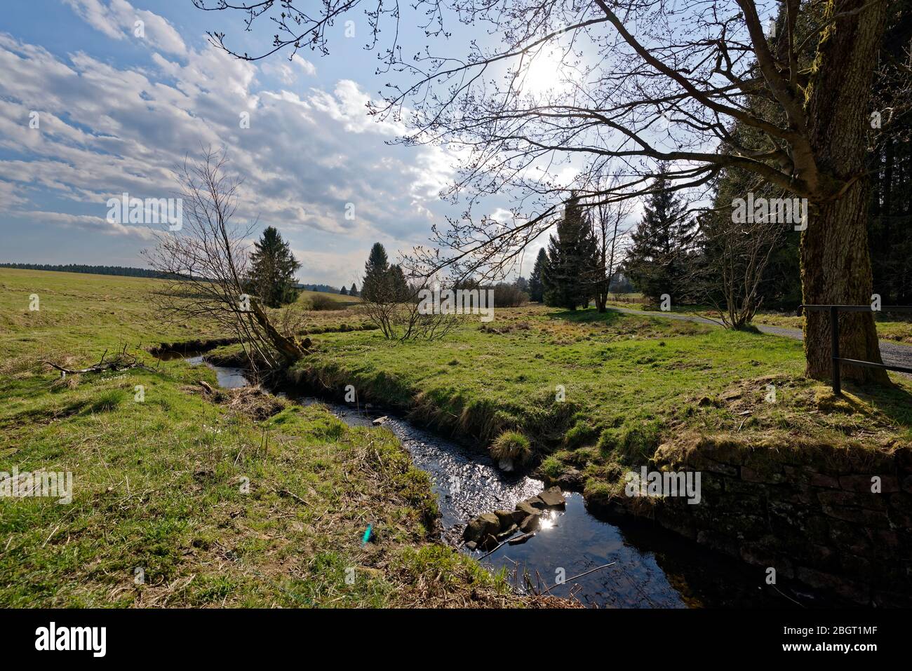 Buntenbocker Teiche,Oberharzer Wasserregal Stock Photo Alamy