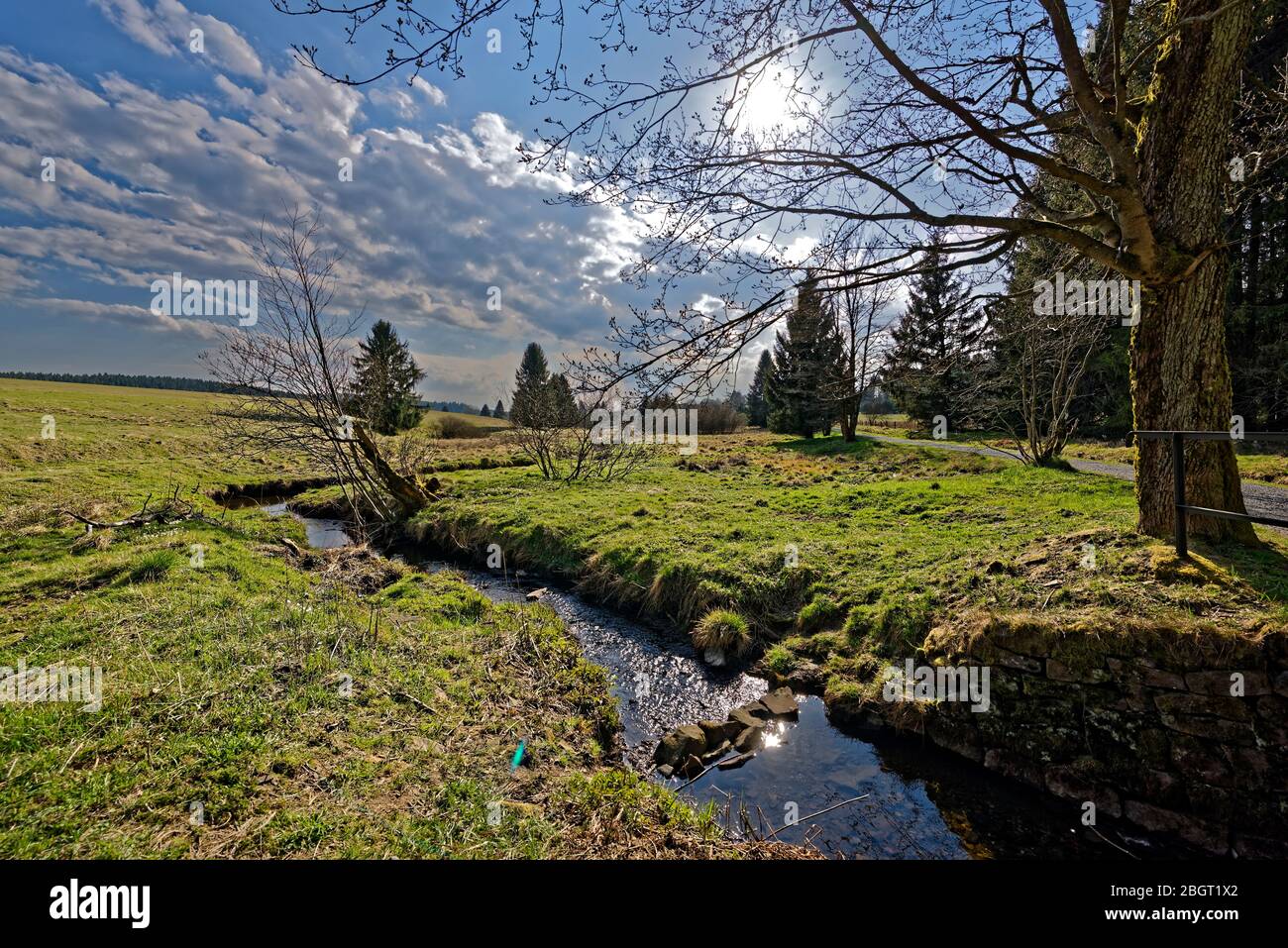 Buntenbocker Teiche,Oberharzer Wasserregal Stock Photo Alamy