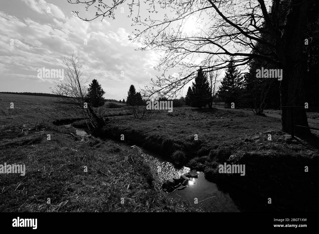 Buntenbocker Teiche,Oberharzer Wasserregal Stock Photo Alamy