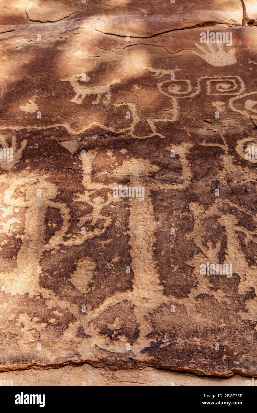 CO00233-00...COLORADO - Petroglyph panel at Petroglyph Point in  Mesa Verde National Park. Stock Photo