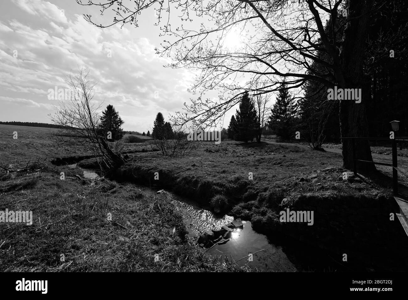 Buntenbocker Teiche,Oberharzer Wasserregal Stock Photo Alamy