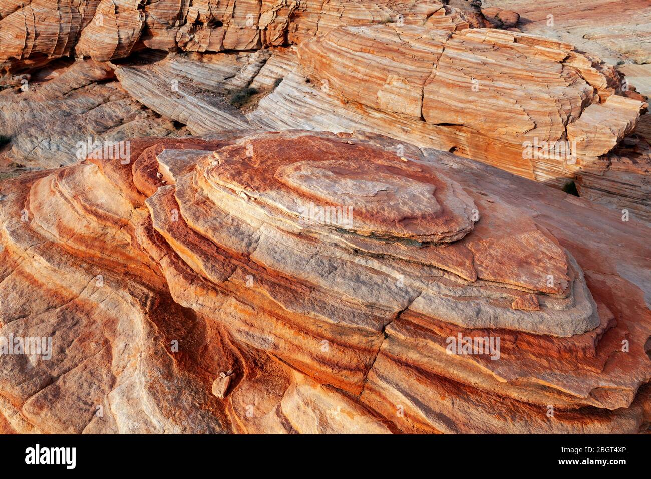 NV00224-00...Nevada - Colorful rock layers in Valley Fire State Park. Stock Photo