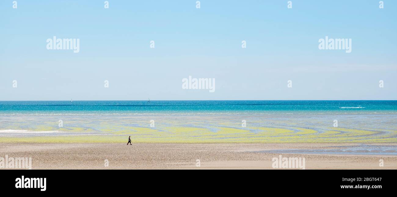 Lone walker and seaweed forming geometric shapes on sandy beach with cerulean sky at St Aubin's Bay, Jersey, Channel Isles Stock Photo