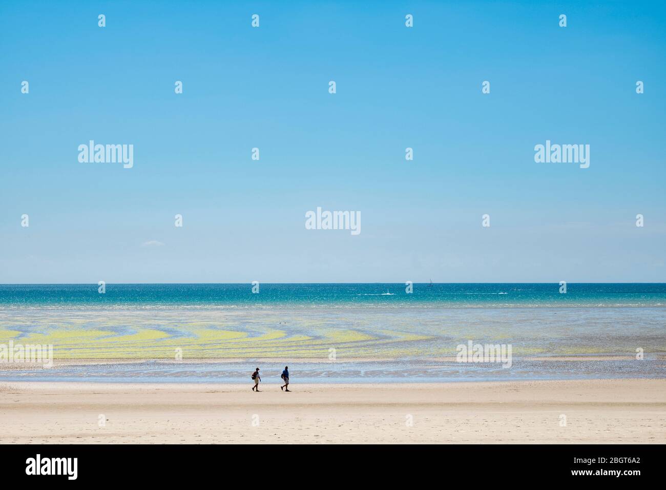 Walkers and seaweed forming geometric shapes on sandy beach with cerulean sky at St Aubin's Bay, Jersey, Channel Isles Stock Photo