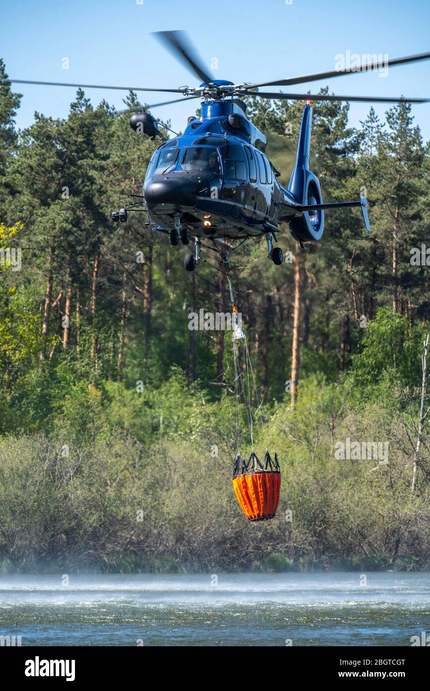 Forest fire in the German-Dutch border region near NiederkrŸchten-Elmpt, in a nature reserve, deployment of fire-fighting helicopters, Eurocopter EC 1 Stock Photo