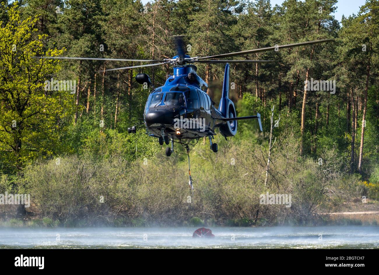 Forest fire in the German-Dutch border region near NiederkrŸchten-Elmpt, in a nature reserve, deployment of fire-fighting helicopters, Eurocopter EC 1 Stock Photo