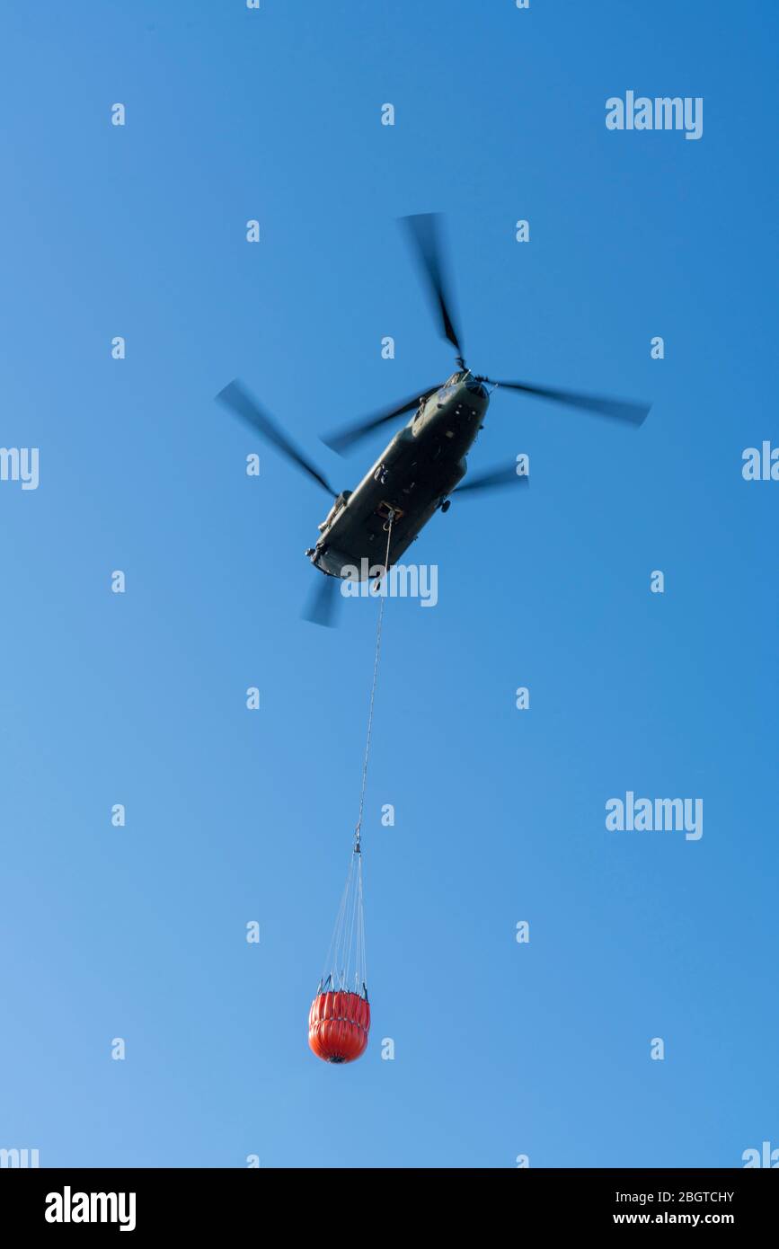 Forest fire in the German-Dutch border region near NiederkrŸchten-Elmpt, in a nature reserve, use of fire-fighting helicopters, Boeing CH-47 Chinook h Stock Photo