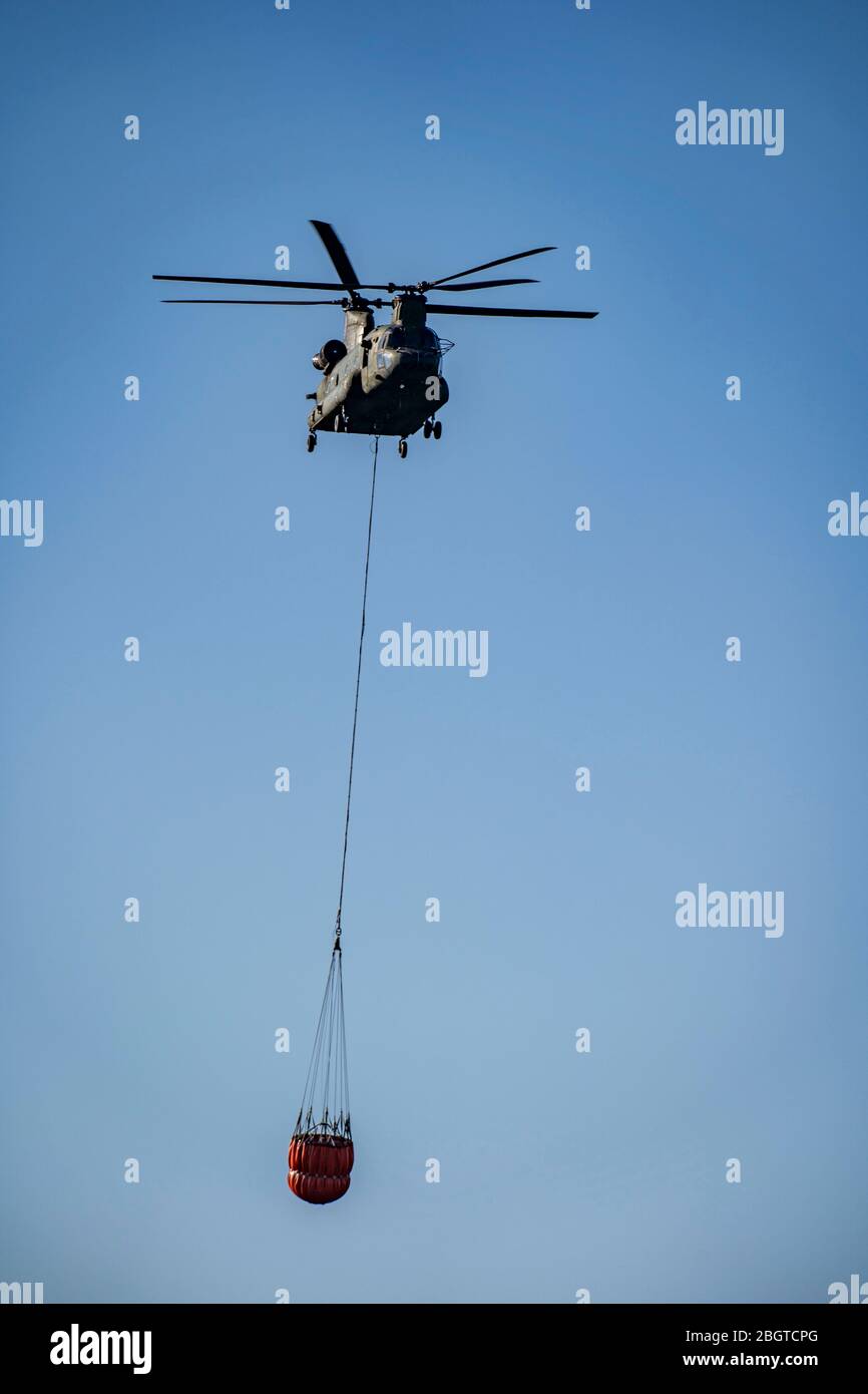 Forest fire in the German-Dutch border region near NiederkrŸchten-Elmpt, in a nature reserve, use of fire-fighting helicopters, Boeing CH-47 Chinook h Stock Photo