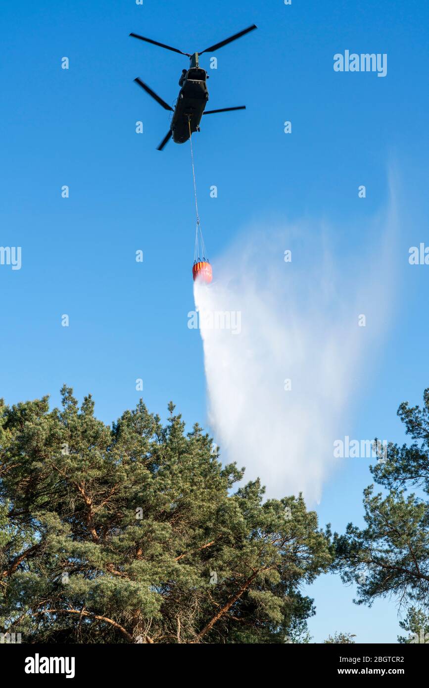 Forest fire in the German-Dutch border region near NiederkrŸchten-Elmpt, in a nature reserve, use of fire-fighting helicopters, Boeing CH-47 Chinook h Stock Photo