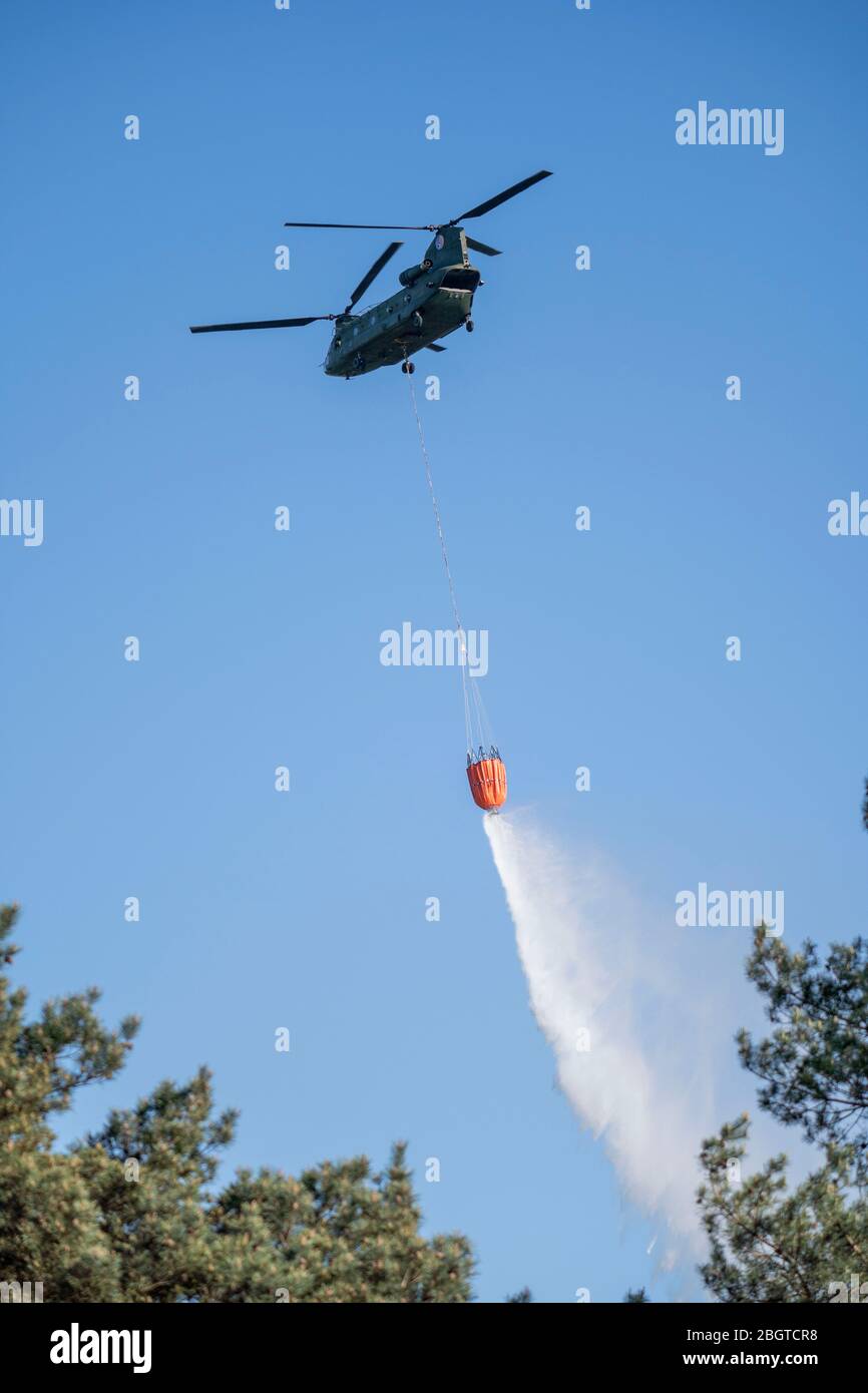 Forest fire in the German-Dutch border region near NiederkrŸchten-Elmpt, in a nature reserve, use of fire-fighting helicopters, Boeing CH-47 Chinook h Stock Photo