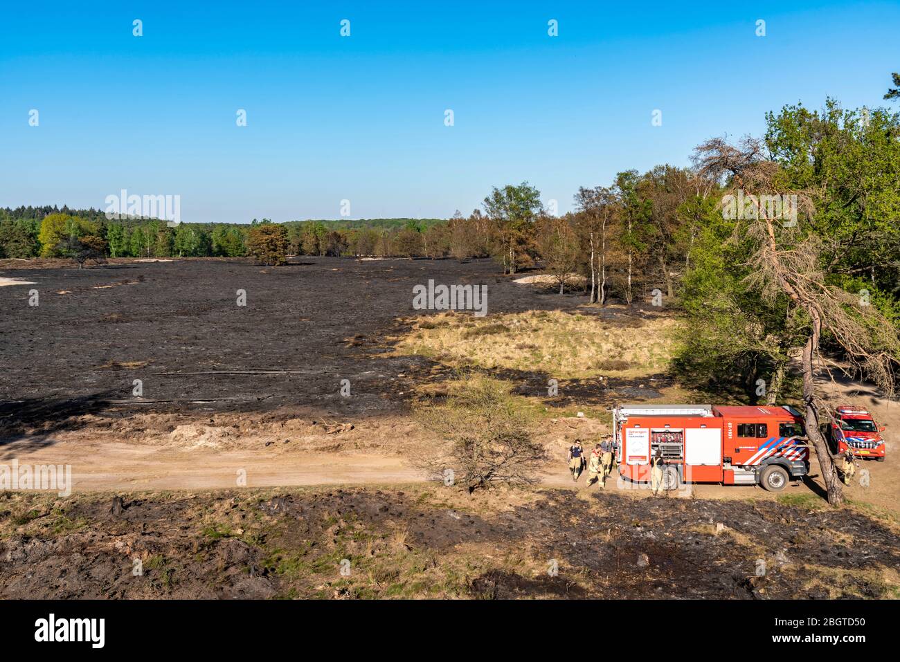 Forest fire in the German-Dutch border region near NiederkrŸchten-Elmpt, in a nature reserve, post-extinguishing work, Stock Photo