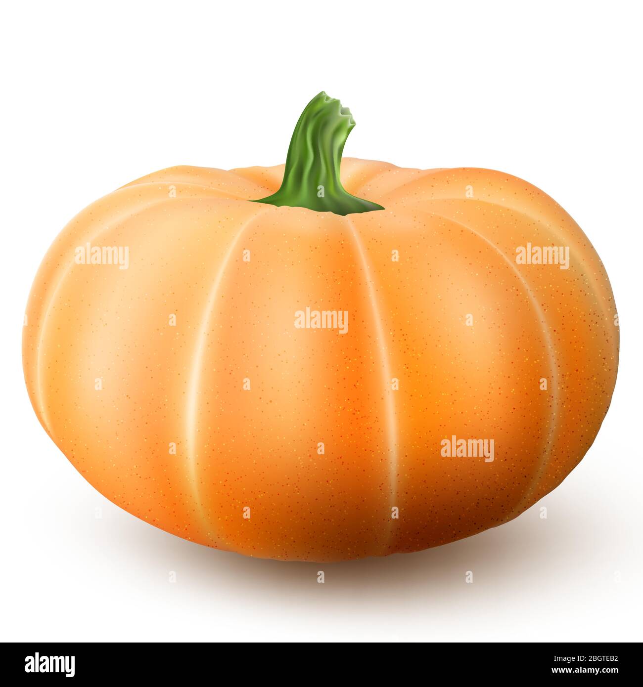 Realistic macro orange pumpkin isolated on white background. EPS 10 Stock Vector
