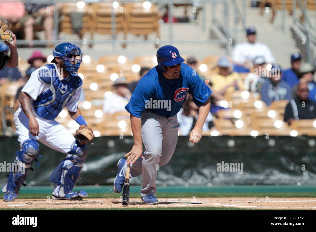 Trayce Thompson of Chicago Cubs ,during Cactus League ,Cubs vs Dodgers.  Spring Trainig 2013..Camelback Ranch in Arizona. February 25, 2013 . ©  strin Stock Photo - Alamy