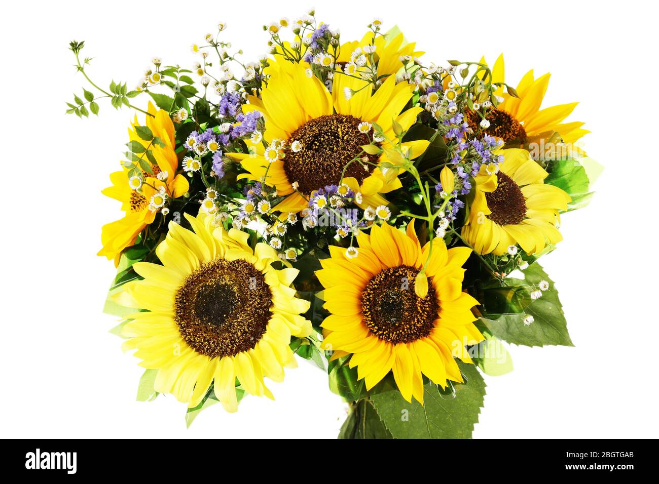 Beautiful bouquet of sunflowers isolated on white Stock Photo Alamy