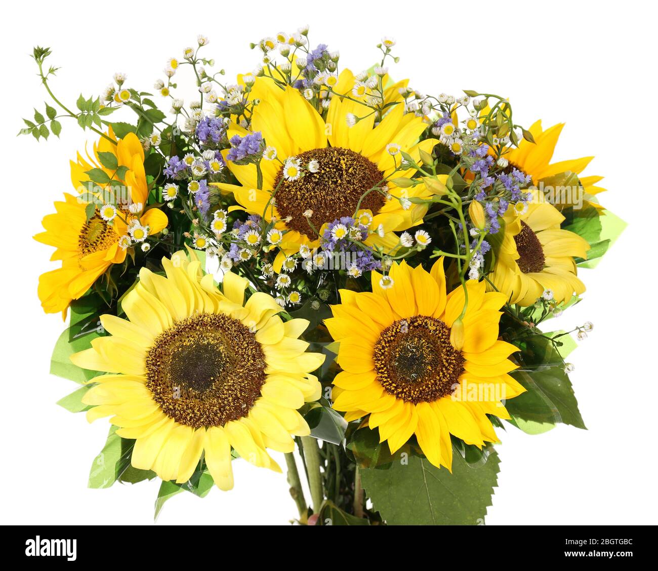 Beautiful bouquet of sunflowers isolated on white Stock Photo - Alamy