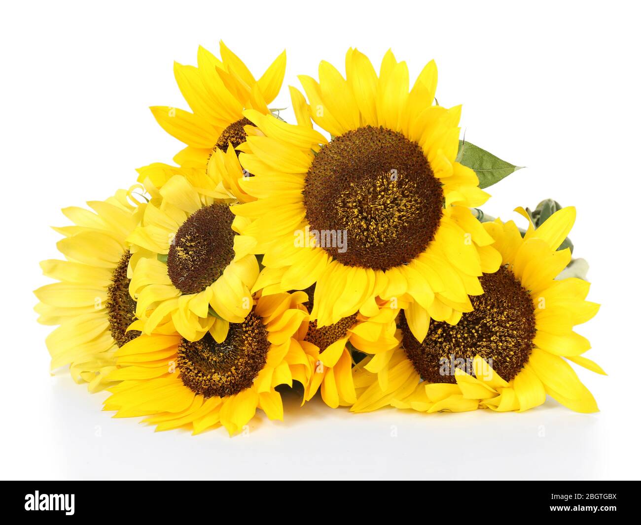 Beautiful bouquet of sunflowers isolated on white Stock Photo - Alamy