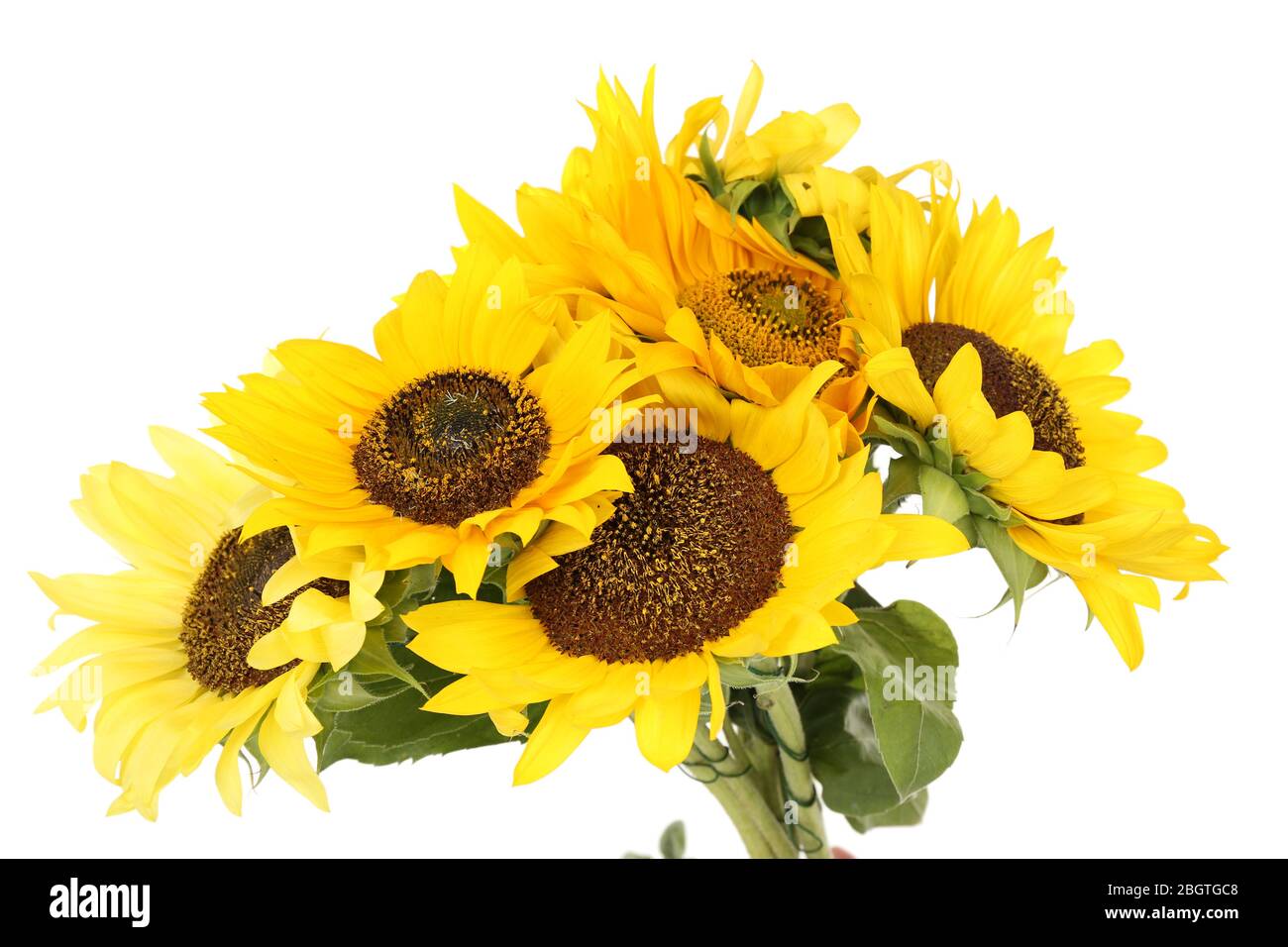 Beautiful bouquet of sunflowers isolated on white Stock Photo - Alamy