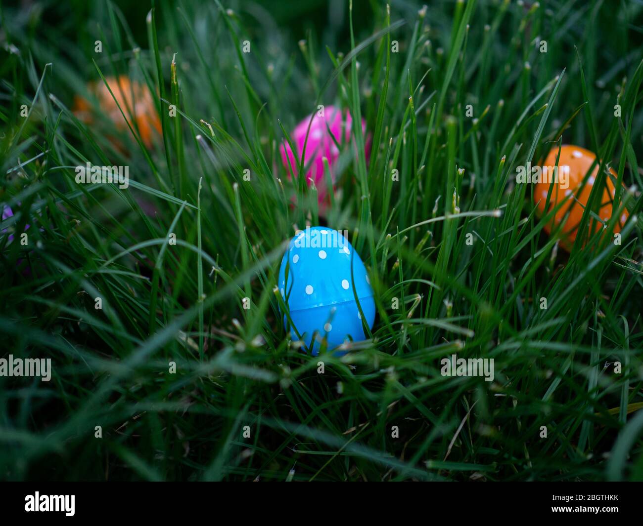Easter eggs scattered in green grass Stock Photo