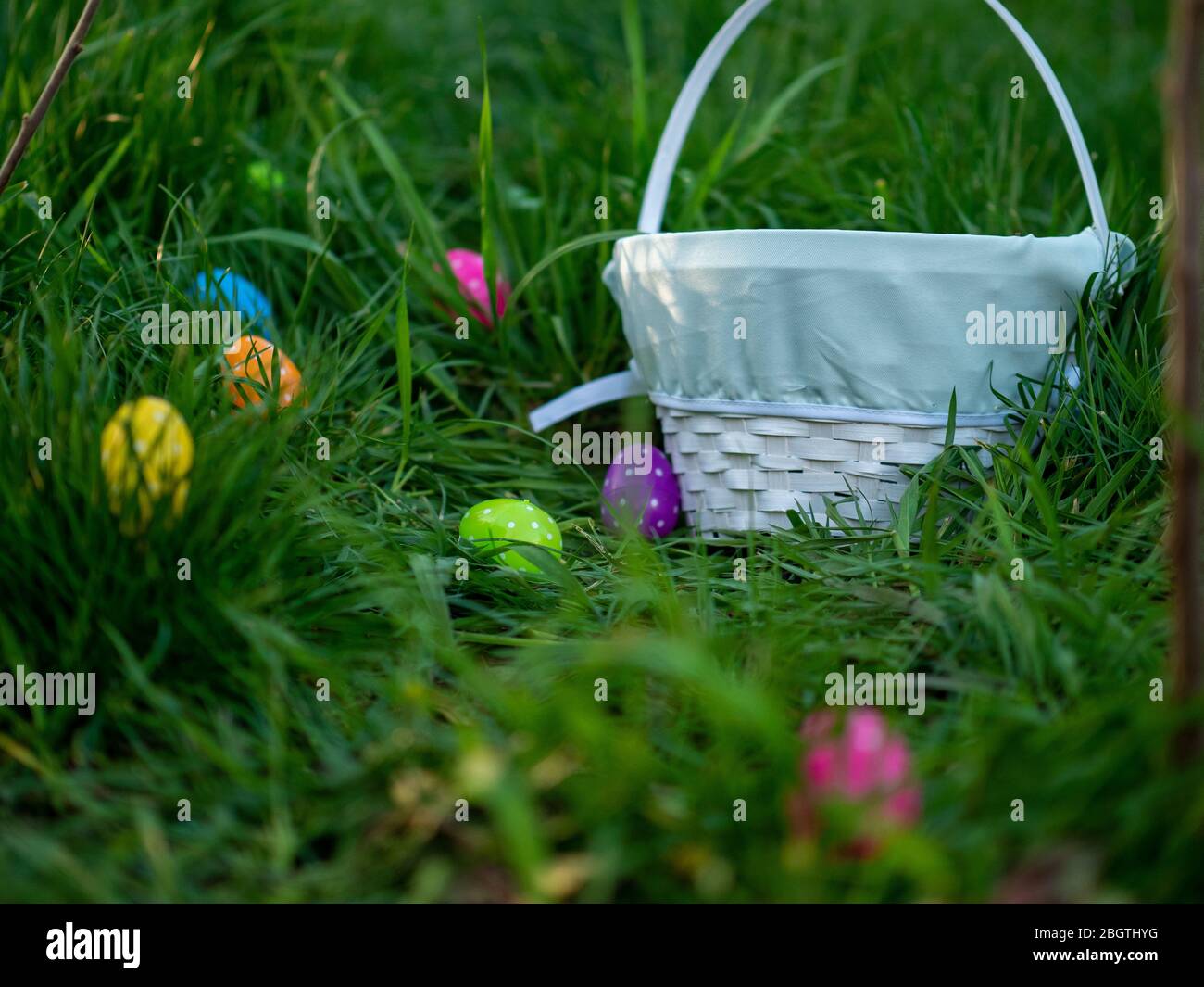 Multiple polka dotted Easter eggs surrounding a basket in the grass at sunset Stock Photo