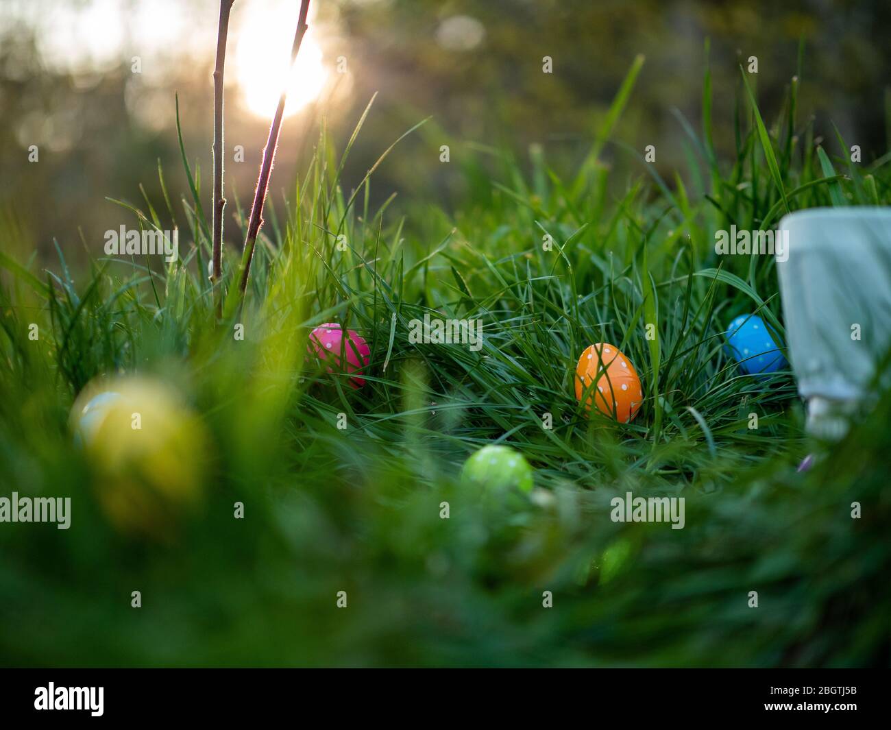 Easter eggs scattered in the grass in the evening Stock Photo