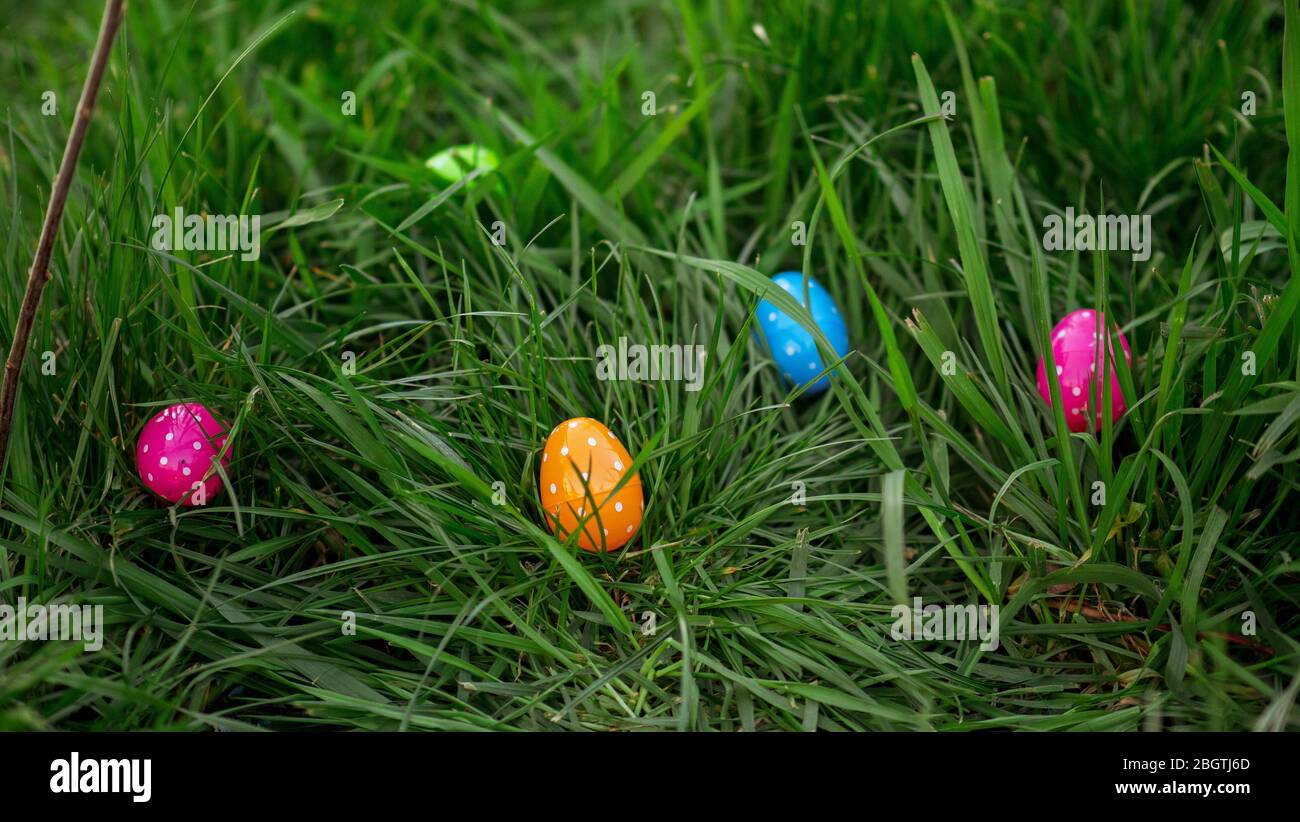 Multi colored Easter eggs scattered around in the grass Stock Photo