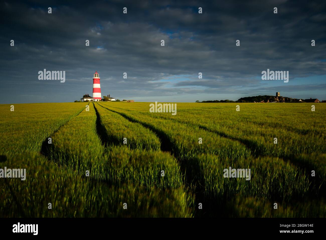 July Lighthouse Happisburgh Lighthouse and barley field- Happisburgh, July 2016 Stock ...