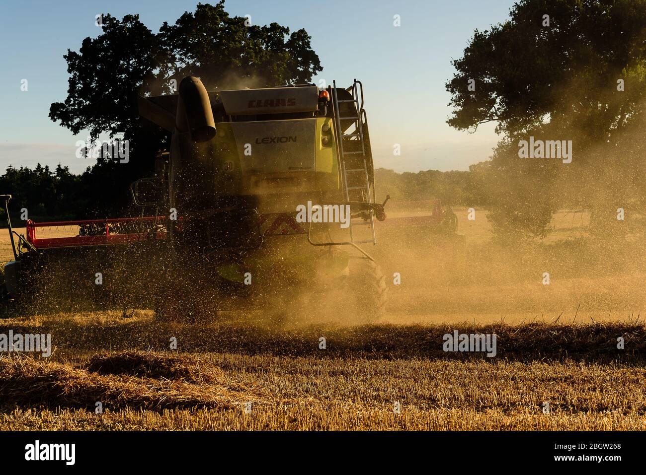 Combine harvester viii. Rear view, turning in field- Salhouse, August ...