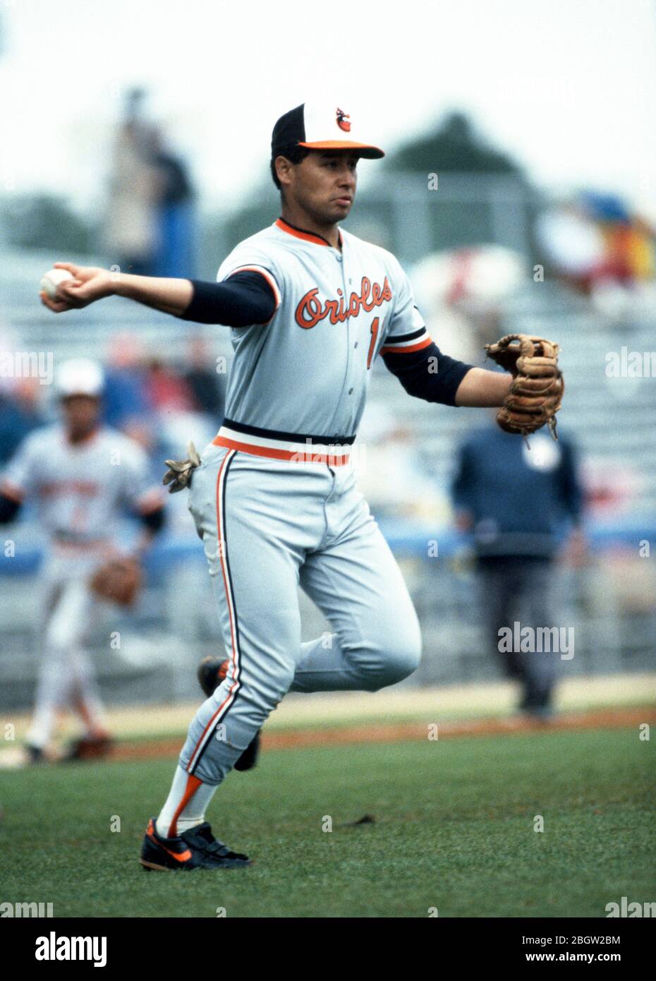 Baltimore Orioles third baseman Craig Worthington at the spring training  baseball facility in Miami, Florida on March 12, 1989. Photo by Francis  Specker Stock Photo - Alamy