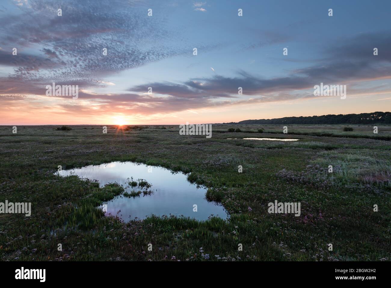 Colourful dawn sky reflected in saltmarsh pools- Stiffkey, August 2016 Stock Photo