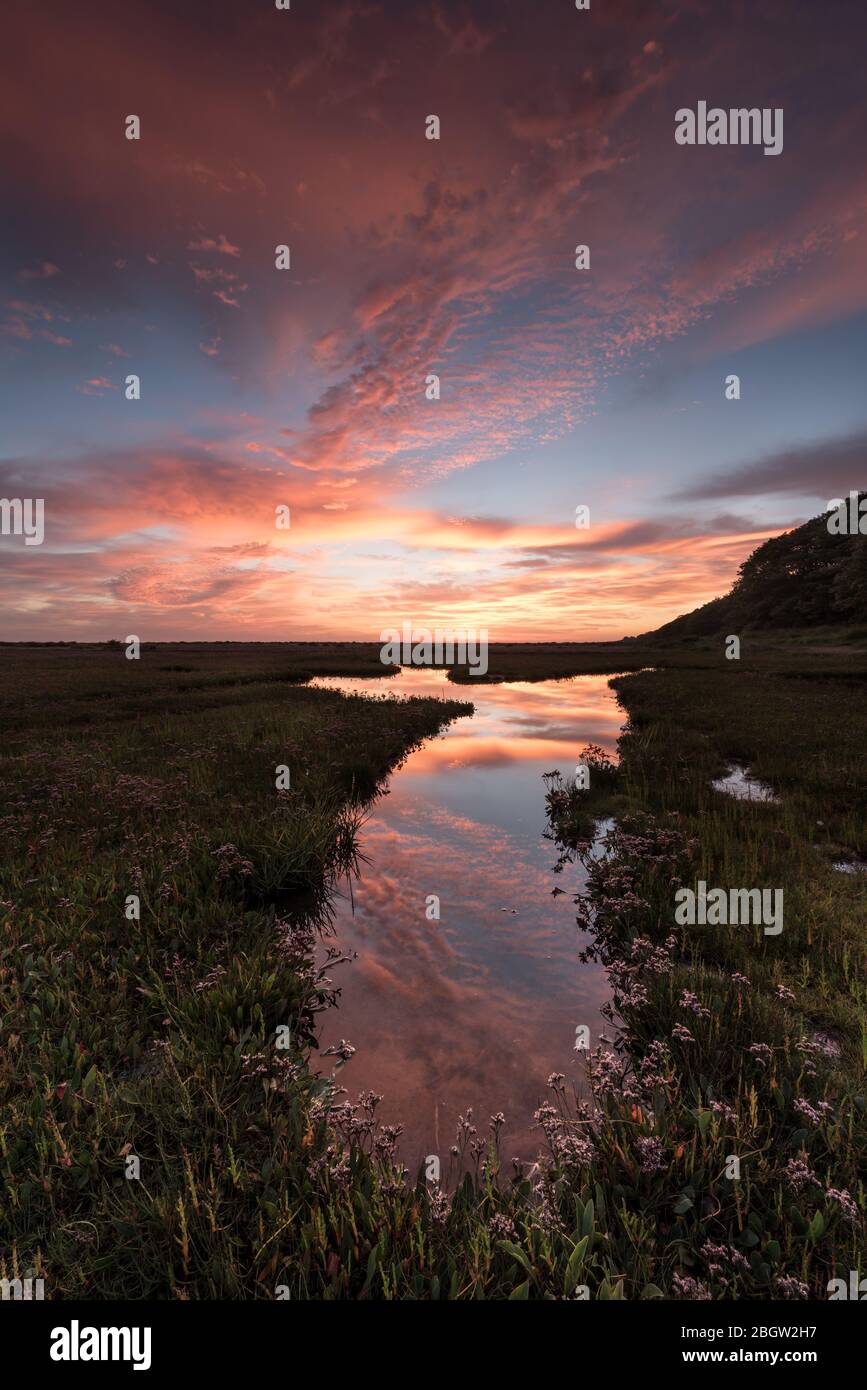 Colourful dawn sky reflected in saltmarsh pools- Stiffkey, August 2016 Stock Photo