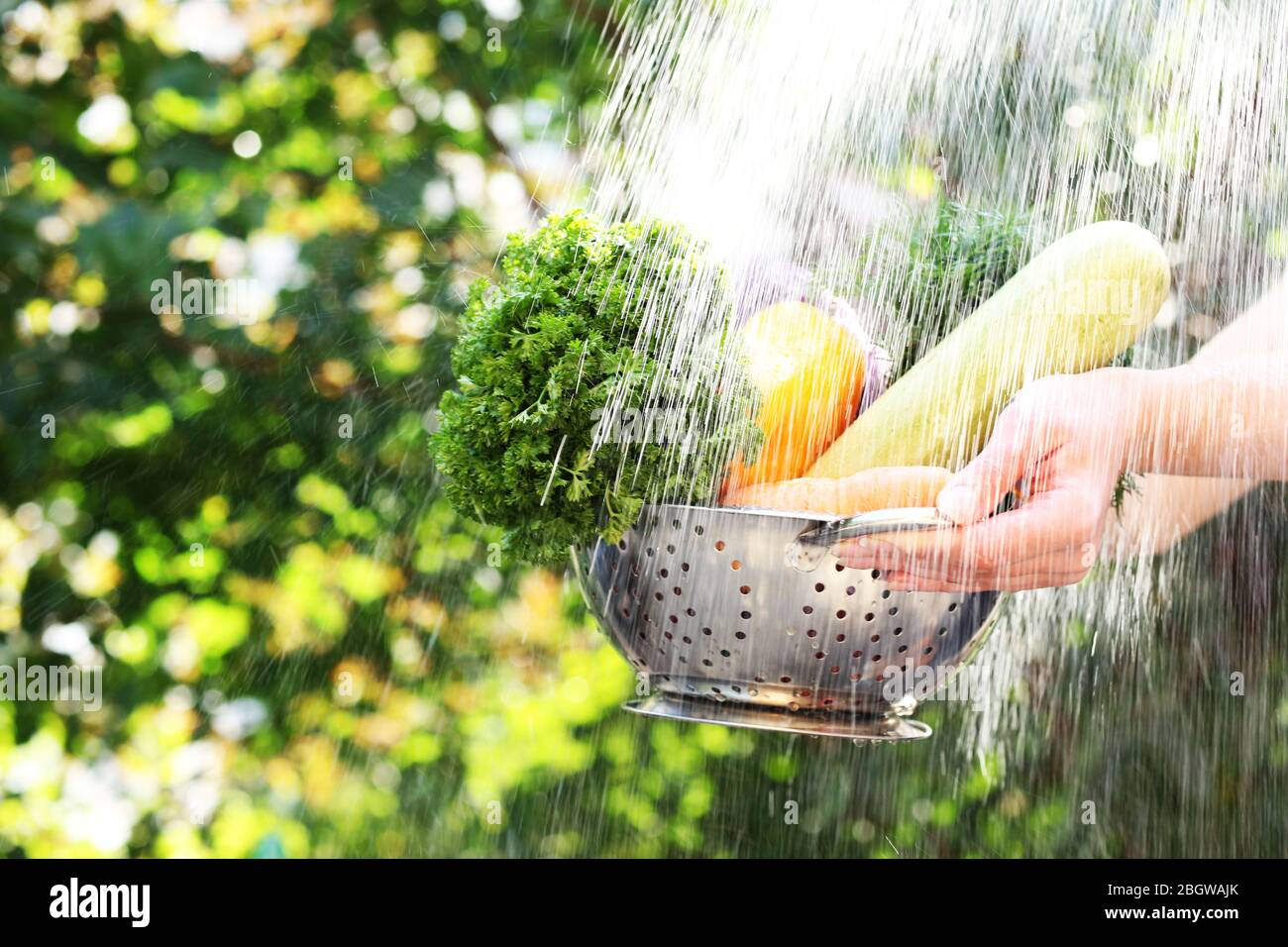 Washing vegetables, outdoors Stock Photo Alamy