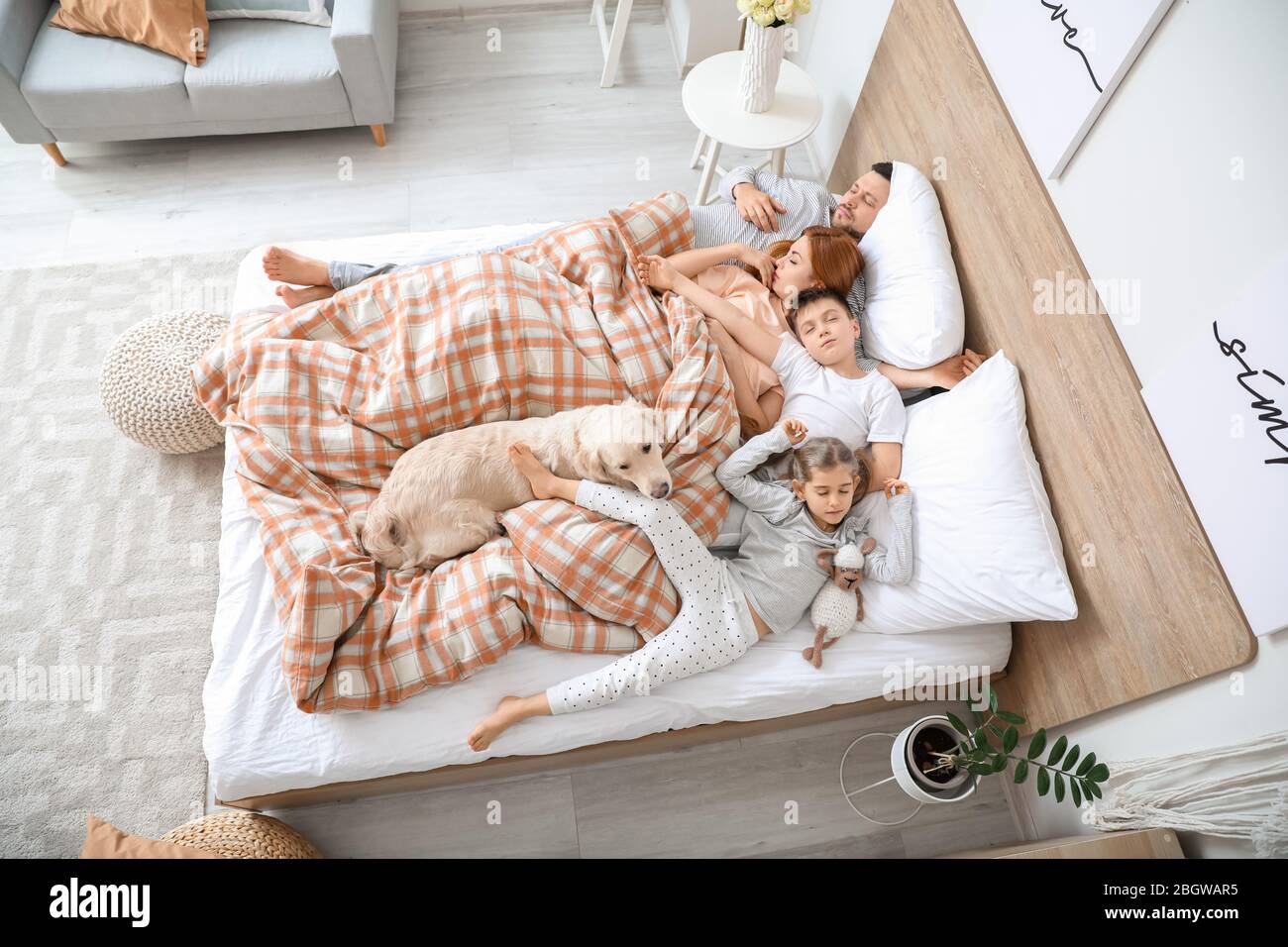 Happy family with dog sleeping in bed at home Stock Photo - Alamy