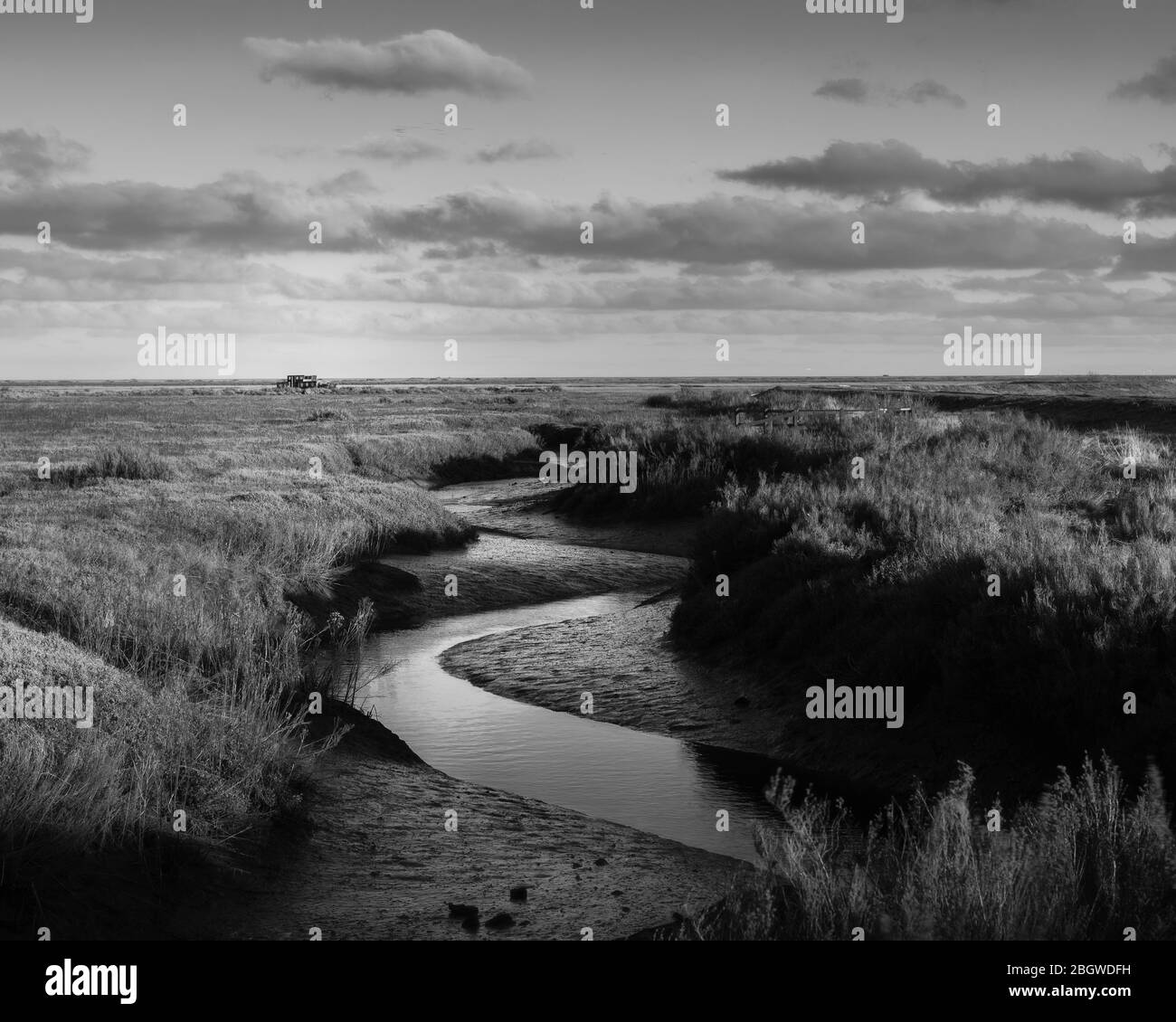 Morning on Blakeney saltmarshes. Winding creek through marshes -Blakeney, January 2018 Stock Photo