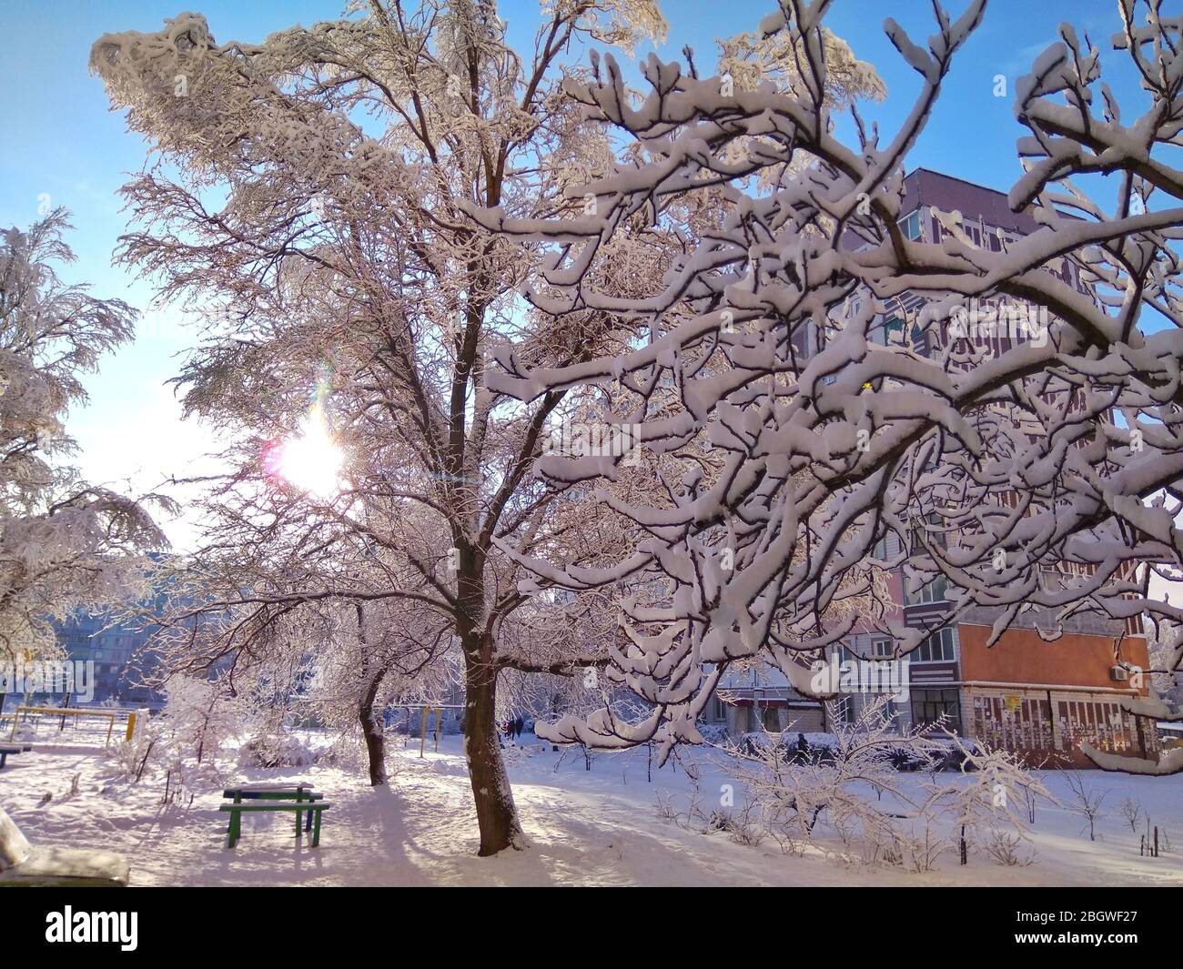 beautiful fairy winter landscape trees sky snow Stock Photo - Alamy