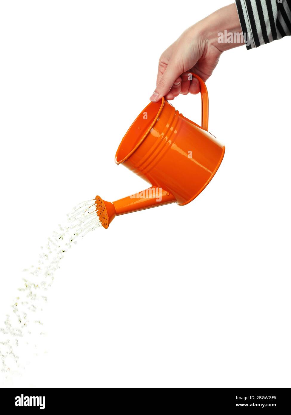 Water pouring from watering can isolated on white Stock Photo Alamy
