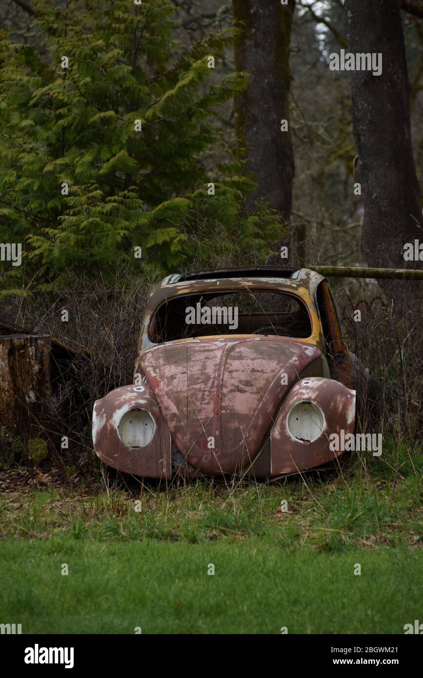 The wrecked rusted body of a Volkswagen VW Beetle Bug automobile sits in a field Stock Photo