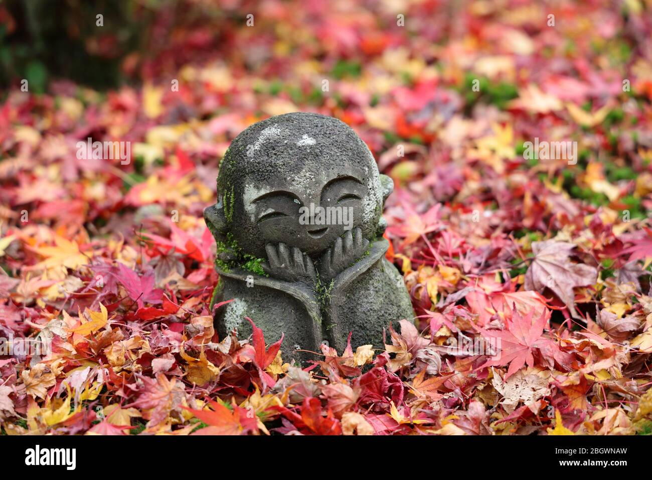 Ichijoji High Resolution Stock Photography And Images Alamy