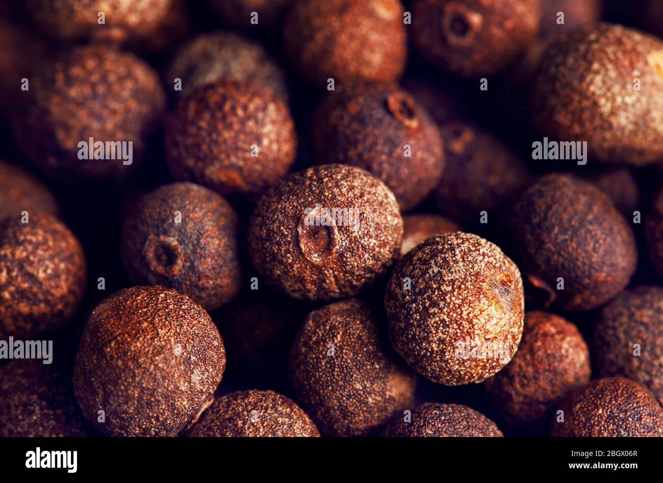 Allspice close up Stock Photo Alamy