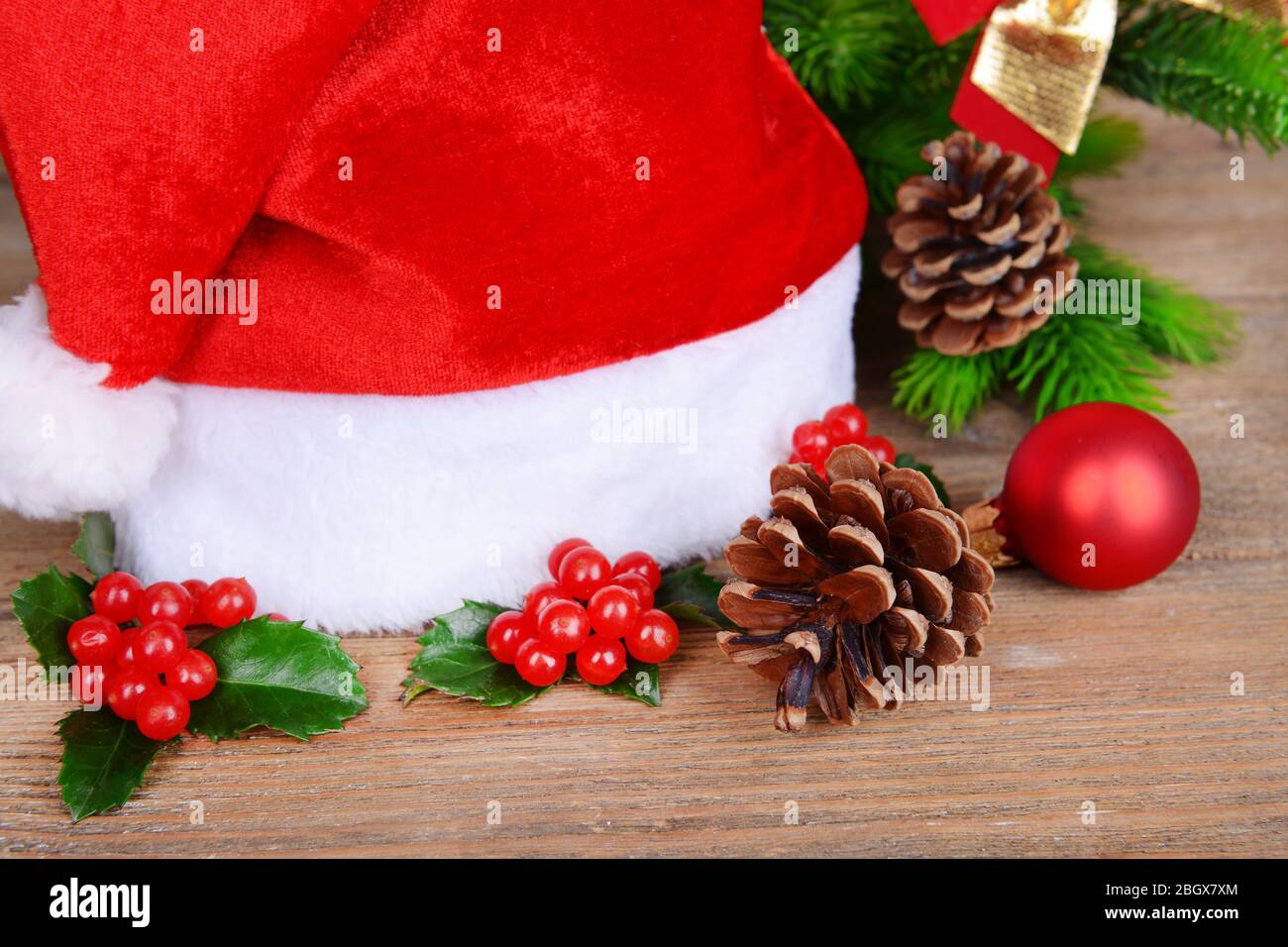 mistletoe christmas hat