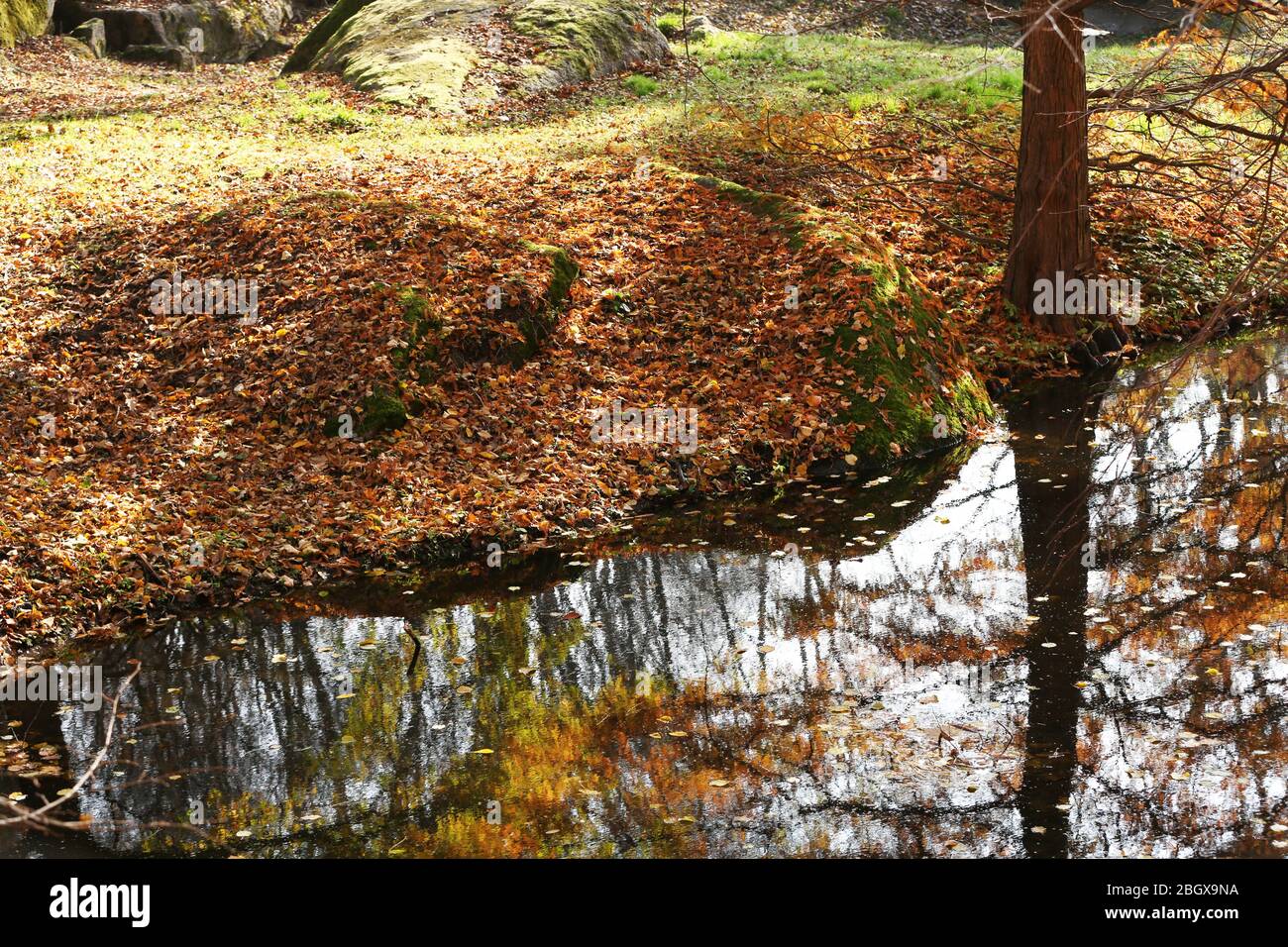 Beautiful nature background Stock Photo